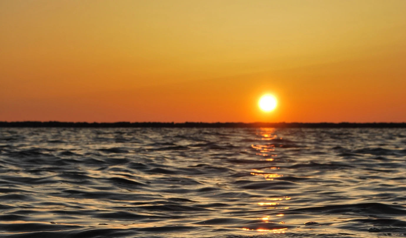 coucher de soleil au ras de l'eau