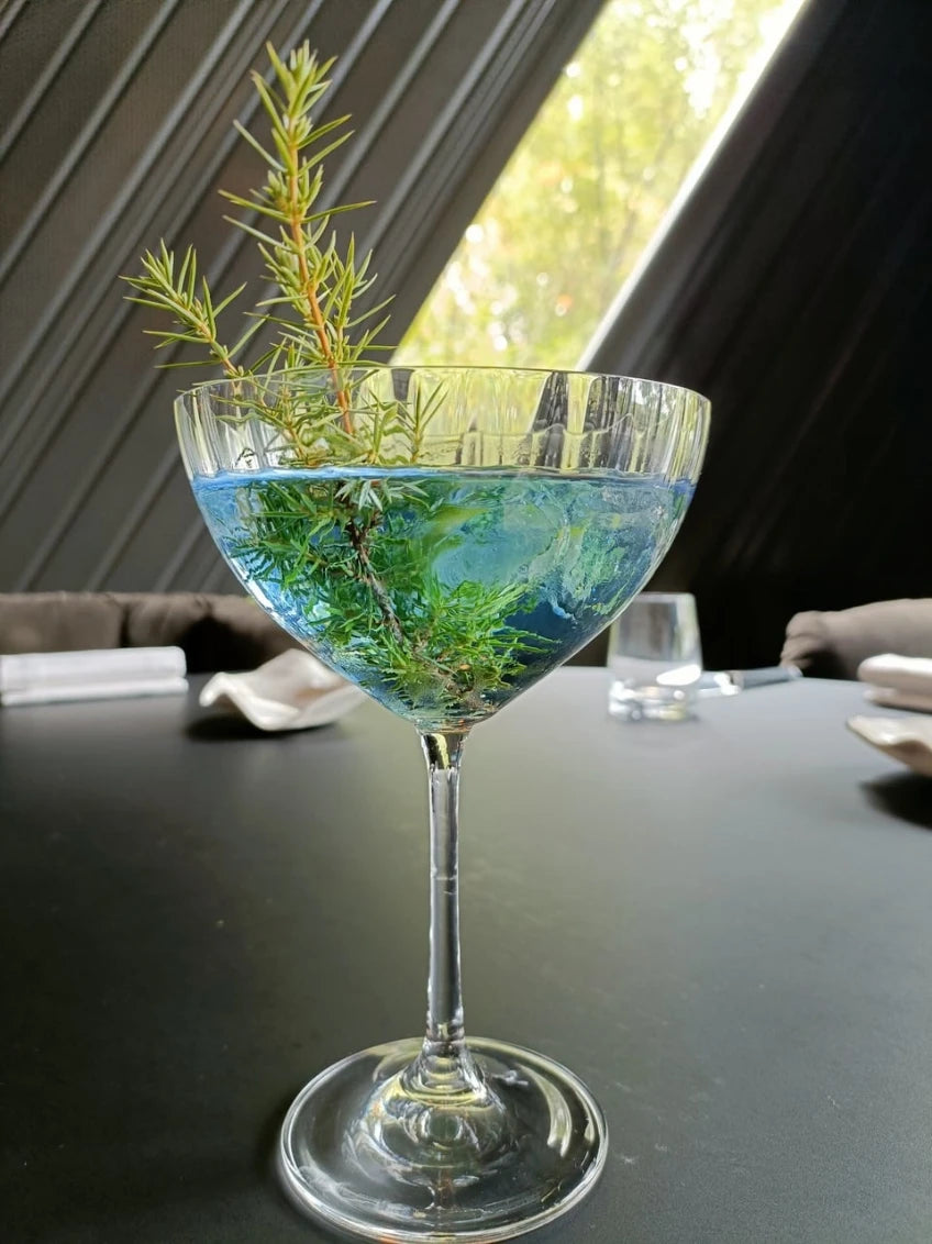 cocktail beaubleu au romarin avec vert
